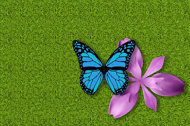 3D Illustration. Spring, summer. Flowers and butterflies on green grass texture. Grass field background with colorful flowers and butterflies.