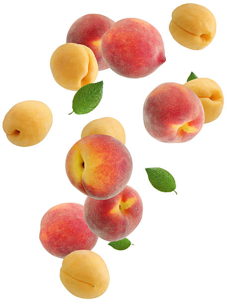 istock Ripe peaches and apricots falling on white background 2210022392