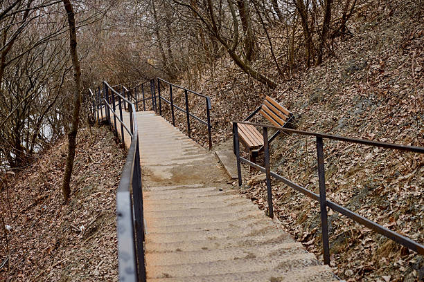 Concrete stairs descend through woodland blanketed with fallen leaves. Overcast skies create diffused lighting, highlighting bare trees. Wooden bench provides resting spot beside iron railing
