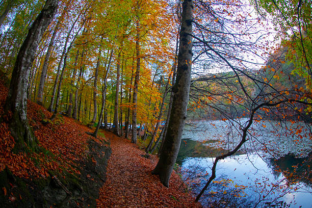 istock Bolu Seven Lakes National Park / Turkey 2210026582