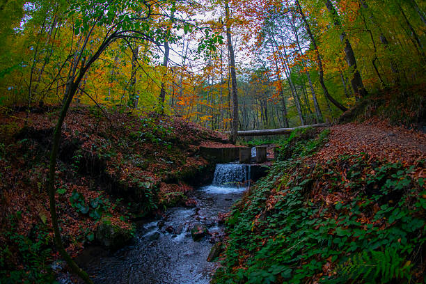 istock Bolu Seven Lakes National Park / Turkey 2210027176
