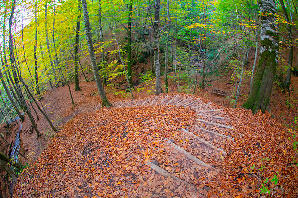 Bolu Seven Lakes National Park / Turkey
