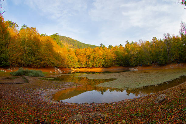 Bolu Seven Lakes National Park / Turkey