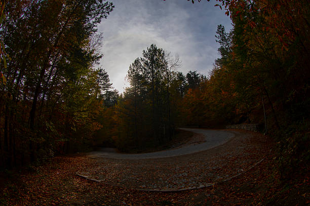 Bolu Seven Lakes National Park / Turkey