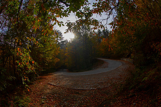 Bolu Seven Lakes National Park / Turkey