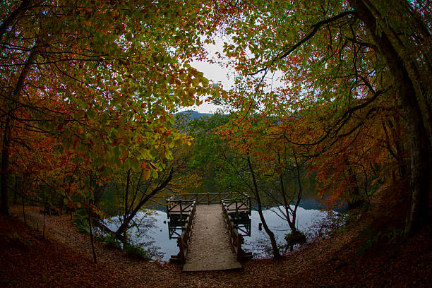 istock Bolu Seven Lakes National Park / Turkey 2210031122