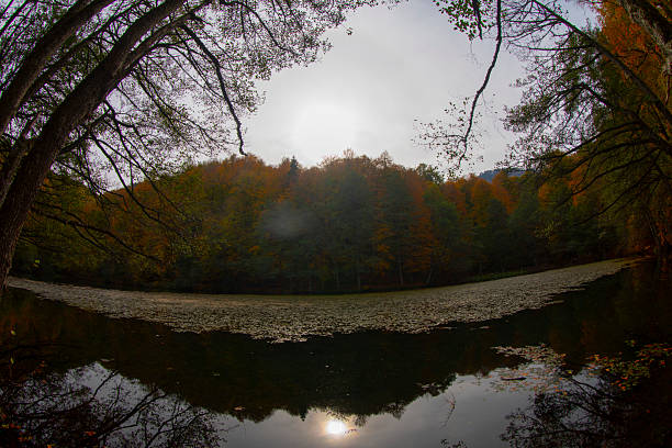 Bolu Seven Lakes National Park / Turkey