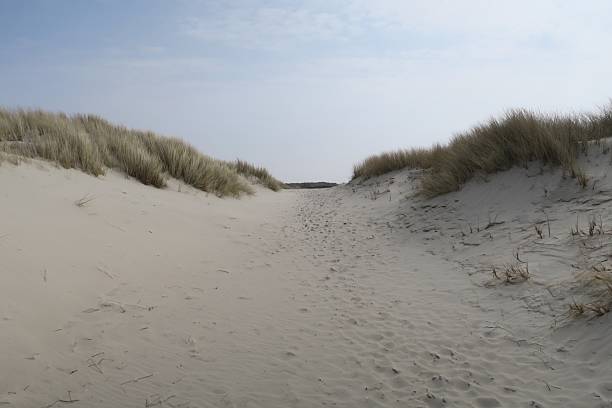 Dune to the beach of Norderney on a warm June day with beautiful weather