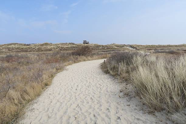 From the beach on the German North Sea island Langeoog there is a sandy hiking trail with nature information boards. Behind the dunes is a bird observation and information hut, Seen in spring.