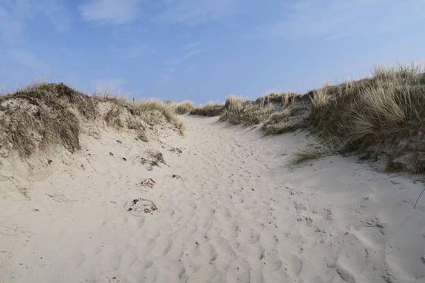 istock Sandy beach path on the North Sea island Langeoog 2210033408