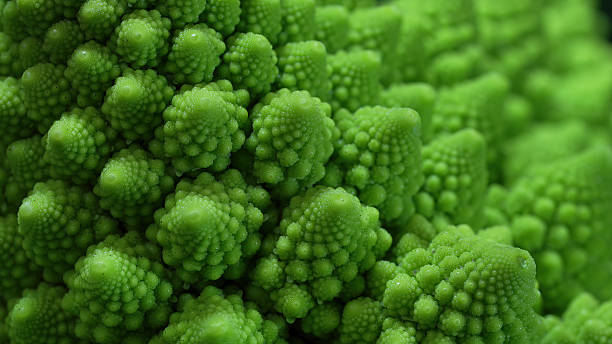 istock Romanesco broccoli head macro view. Green cabbage, close-up, fibonacci sequence. 2210049091