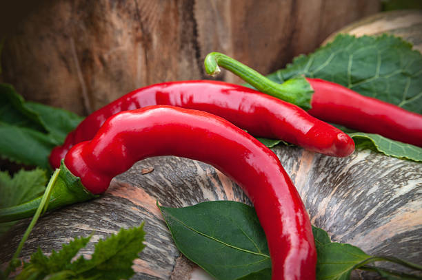Autumn rustic still life with red peppers on a wooden background