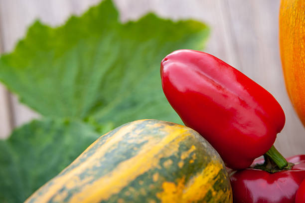 Rustic red pepper and pumpkin with leaves Thanksgiving style