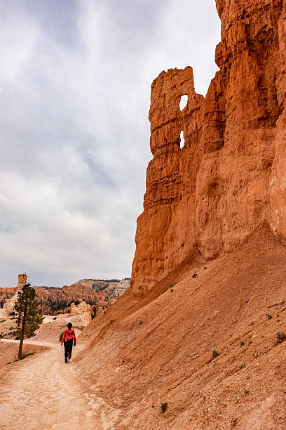Bryce Canyon national park, Utah, USA.