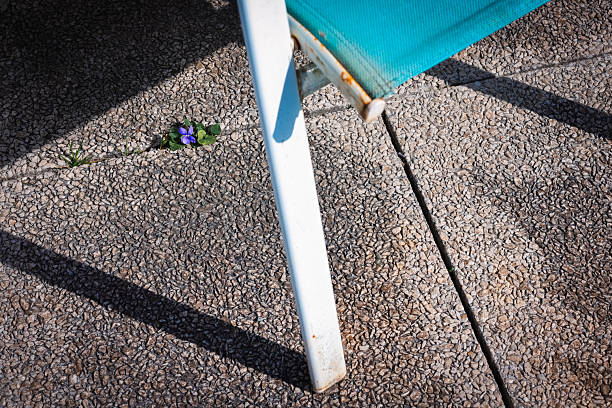 Springtime. Garden chair with blossoming flower.
