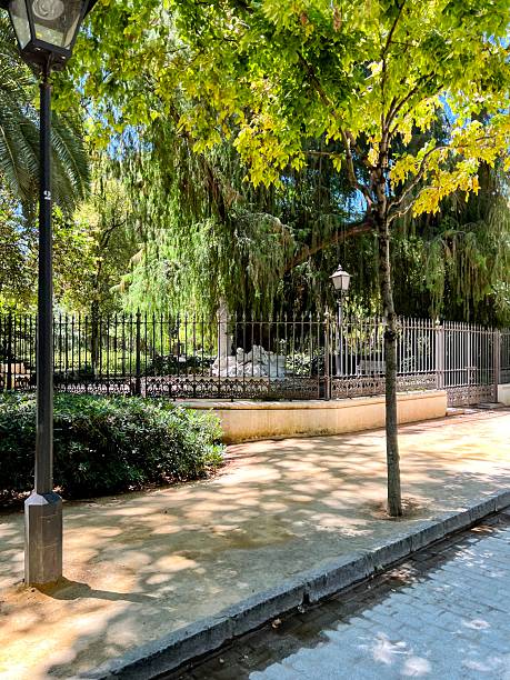 istock Seville Park Scene with Lamp Post and Trees 2210068520