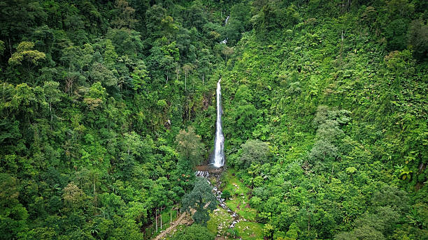istock Tropical Waterfall in Lush Green Rainforest – Aerial View 2210078162