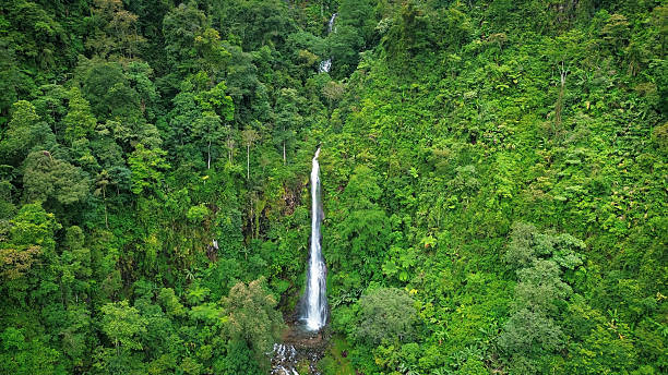 istock Tropical Waterfall in Lush Green Rainforest – Aerial View 2210078166