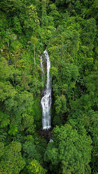 istock Tropical Waterfall in Lush Green Rainforest – Aerial View 2210078199