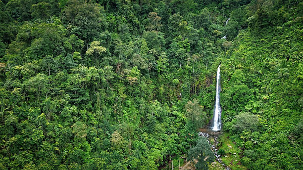 istock Tropical Waterfall in Lush Green Rainforest – Aerial View 2210078219