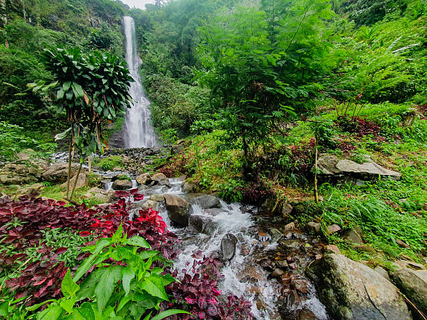 istock Tropical Waterfall in Lush Green Rainforest – Aerial View 2210078329