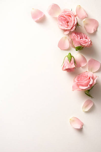 istock Roses copy space viewed from above. Top view. Romantic background 2210080300