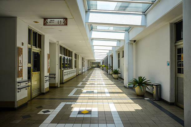 Sunlight streams into this long interior hallway lined with potted plants and white walls, perfect for architectural and interior design inspiration.