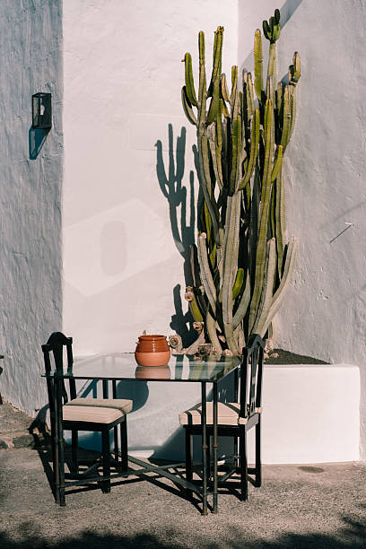 Mediterranean street cafe, cactus, glass table and chairs