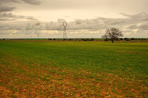 Electric towers and a green meadow