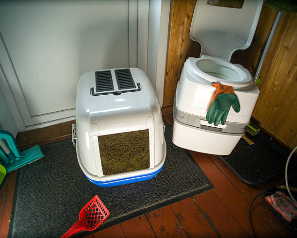 istock portable potty and a pet toilet 2210089439