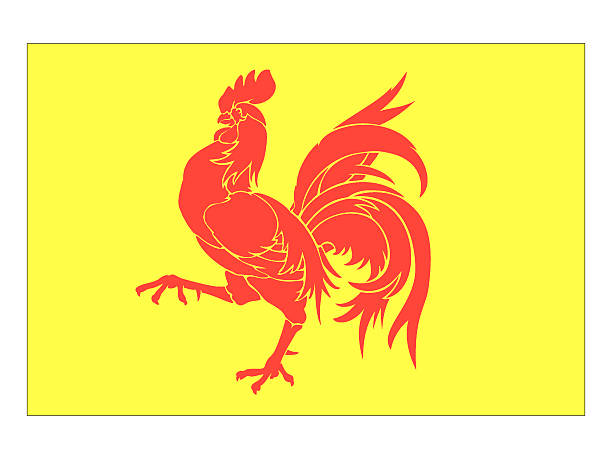 istock Flag, map or coat of arms of WALLONIA 2210089994