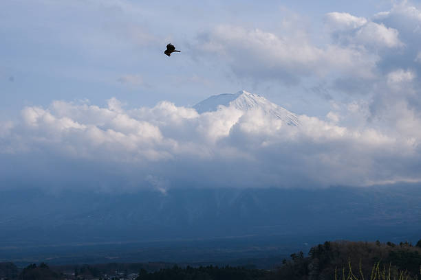istock Enjoy the view of Mt. Fuji. 2210094428