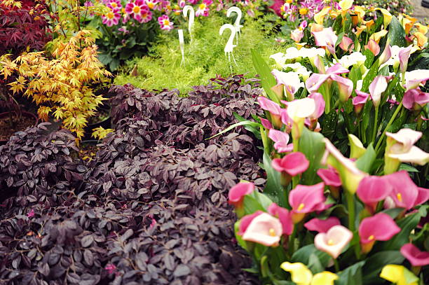 Flower market in Milan