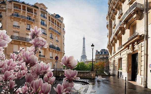 istock eiffel tour and Paris street 2210099424