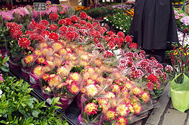 Flower market in Milan