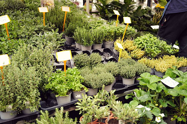 Union Square Greenmarket, Flowers and plants. New York City