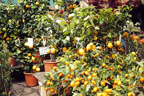 Flower market in Milan