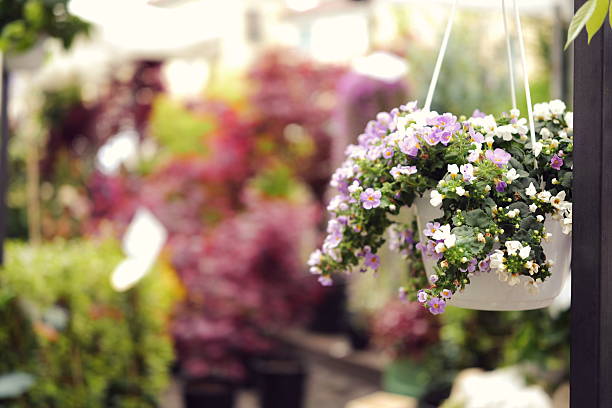 Flower market in Milan