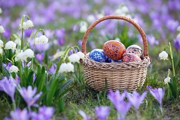 istock Spring flowers are crocuses and snowdrops. A wicker basket with Easter eggs stands on a lawn covered in purple and white flowers. Majestic nature wallpaper with forest flower. Flower spring. 2210104970