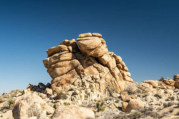 Classic Smooth Rocks Of Joshua Tree Against Bright Blue Sky in winter