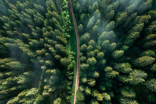 istock Drone shot in the Black Forest, Germany, at sunrise 2210108837