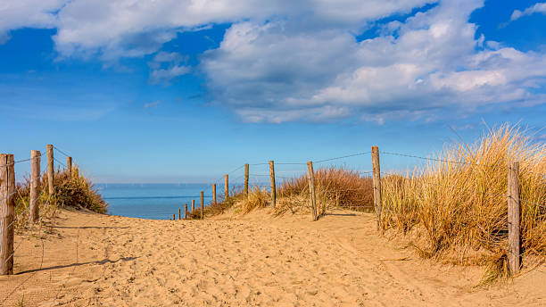 istock Sand dune, Katwijk aan Zee 2210112753