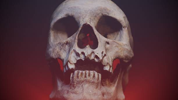 a frightening old human skull in dramatic red illumination from below, a spotlight from the front clearly shows all parts of the object,3D visualization