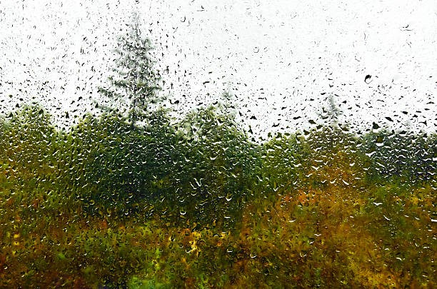 Green trees landscape and cloudy sky through water drops rainy wet window. Natural pattern of raindrops. Front focus. Abstract background