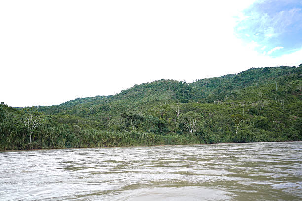 River Cruise  at Peruvian Amazon