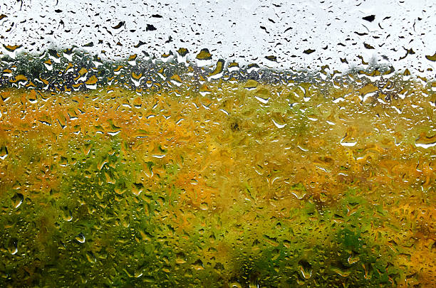 Green trees landscape and cloudy sky through water drops rainy wet window. Natural pattern of raindrops. Front focus. Abstract background