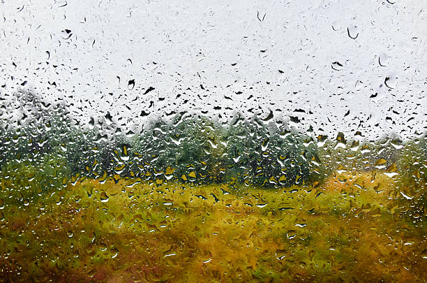 Green trees landscape and cloudy sky through water drops rainy wet window. Natural pattern of raindrops. Front focus. Abstract background