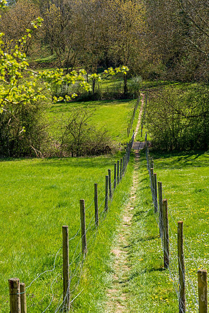 Spring Landscape and Footpath in the Northern Eifel