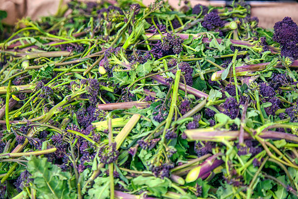 istock Fresh Farmer's market purple sprouting broccoli 2210122567