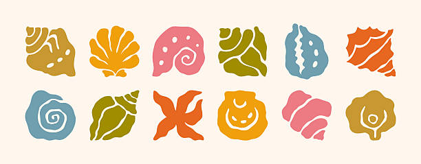Boho Summer Seashells Icons in Retro Style. Groovy Geometric Shells, Sea Star, Snail, Scallop. Vector Abstract Square Tropical Illustration in Freehand for Logo, Patterns, T-Shirt Print, Stickers